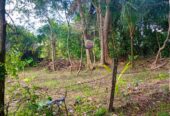 නිස්කලංක ඉඩමක් විකිණිමට – ගම්පහ