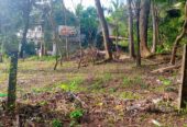 නිස්කලංක ඉඩමක් විකිණිමට – ගම්පහ