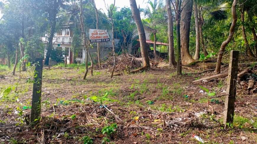 නිස්කලංක ඉඩමක් විකිණිමට – ගම්පහ
