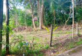 නිස්කලංක ඉඩමක් විකිණිමට – ගම්පහ