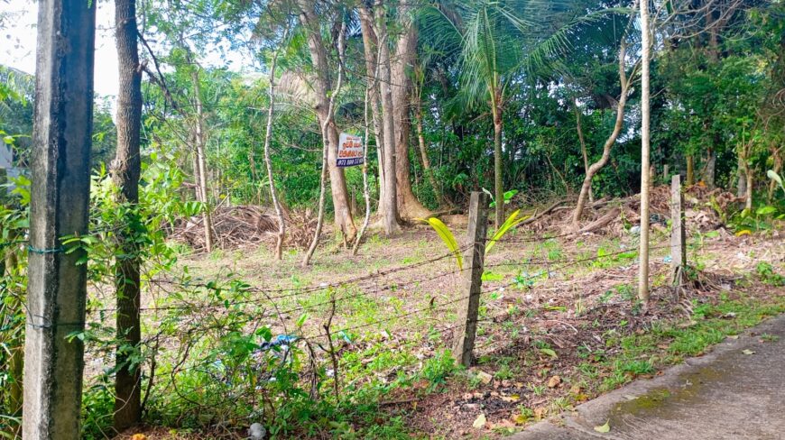 නිස්කලංක ඉඩමක් විකිණිමට – ගම්පහ