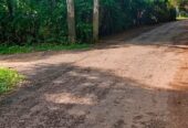 නිස්කලංක ඉඩමක් විකිණිමට – ගම්පහ