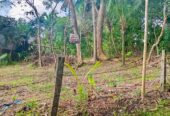 නිස්කලංක ඉඩමක් විකිණිමට – ගම්පහ
