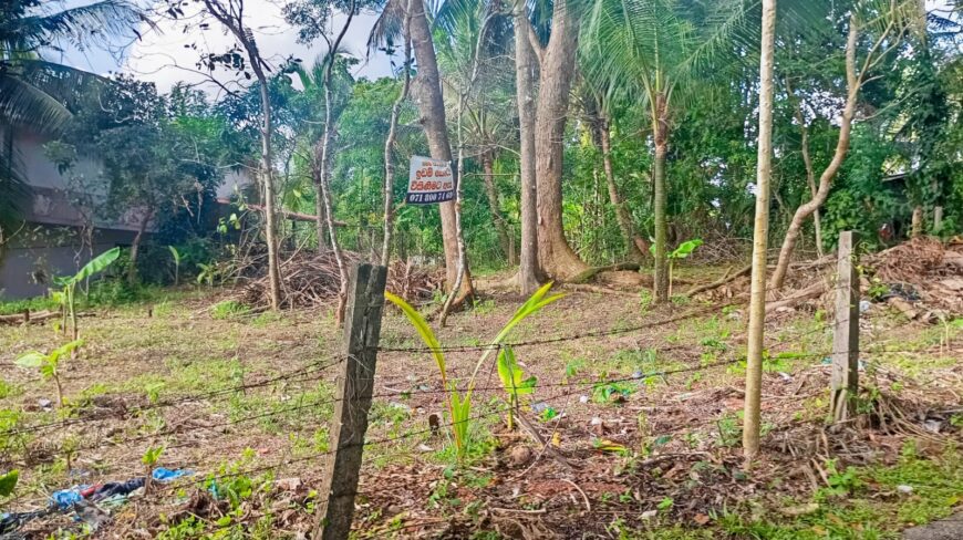 නිස්කලංක ඉඩමක් විකිණිමට – ගම්පහ