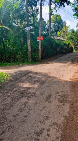 නිස්කලංක ඉඩමක් විකිණිමට – ගම්පහ