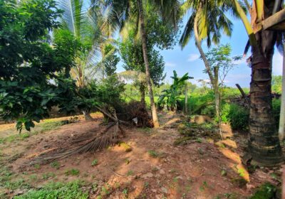 Land For Sale In Kahathuduwa