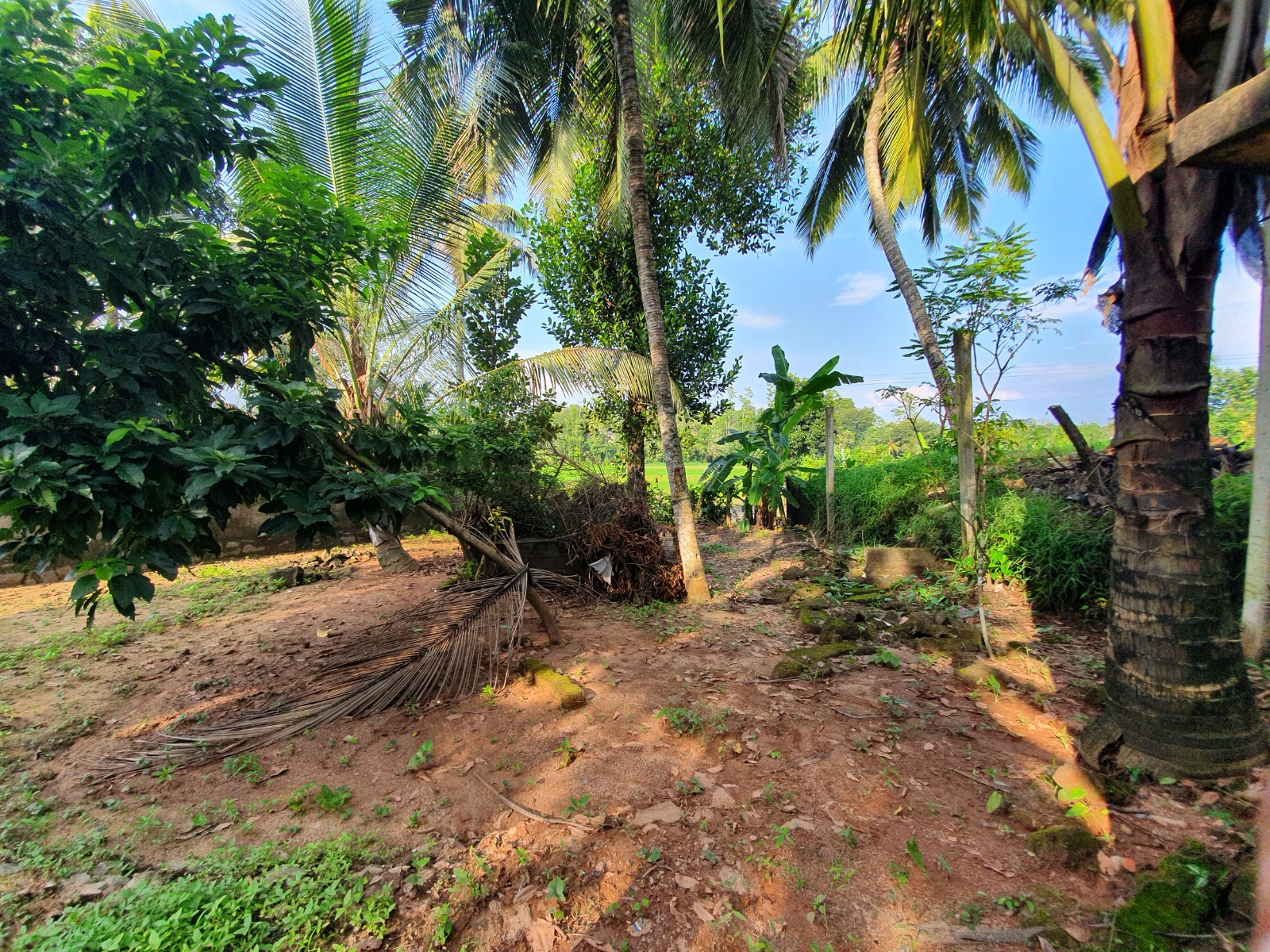 Land For Sale In Kahathuduwa