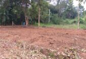 Land for Sale 40 P Sirigala, Monaragala ( Close to Hospital)