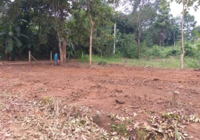 Land for Sale 40 P Sirigala, Monaragala ( Close to Hospital)