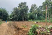 Land for Sale 40 P Sirigala, Monaragala ( Close to Hospital)