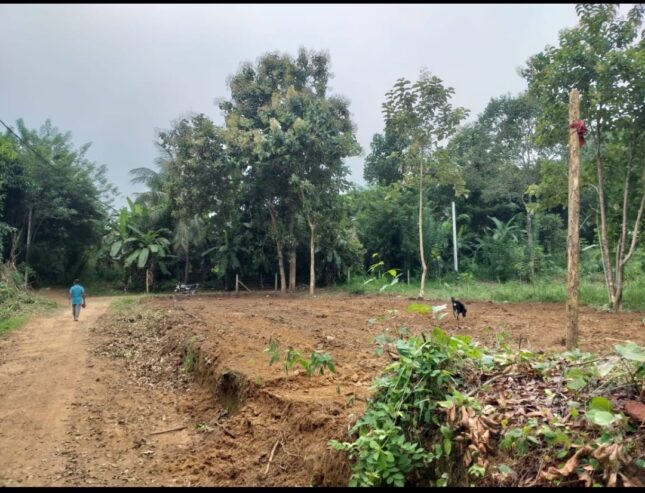 Land for Sale 40 P Sirigala, Monaragala ( Close to Hospital)