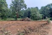 Land for Sale 40 P Sirigala, Monaragala ( Close to Hospital)