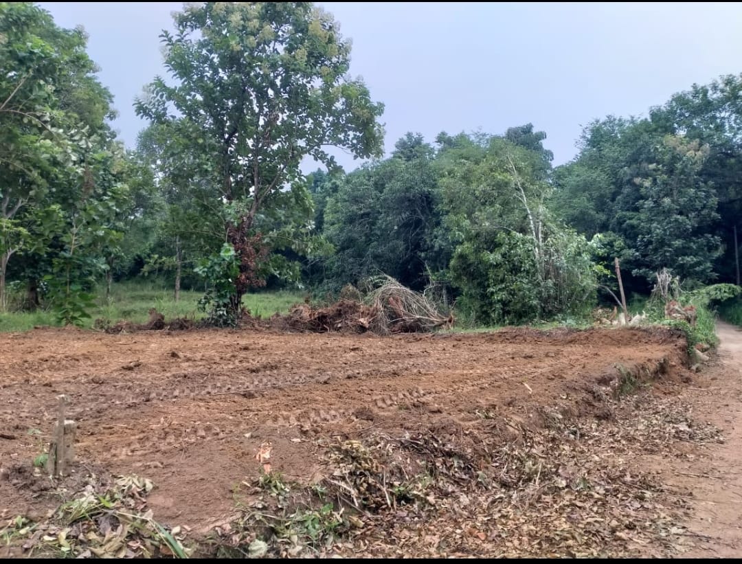 Land for Sale 40 P Sirigala, Monaragala ( Close to Hospital)