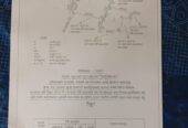 Coconut Land for Sale – Melsiripura