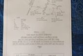 Coconut Land for Sale – Melsiripura