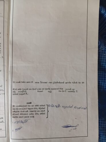Coconut Land for Sale – Melsiripura
