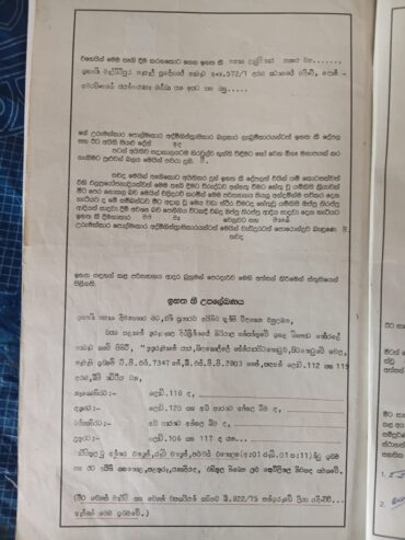 Coconut Land for Sale – Melsiripura