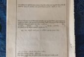 Coconut Land for Sale – Melsiripura
