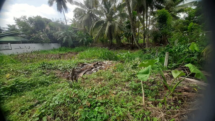 Land for Sale in Malwaththa, Nittambuwa