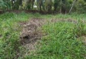 Land for Sale in Malwaththa, Nittambuwa