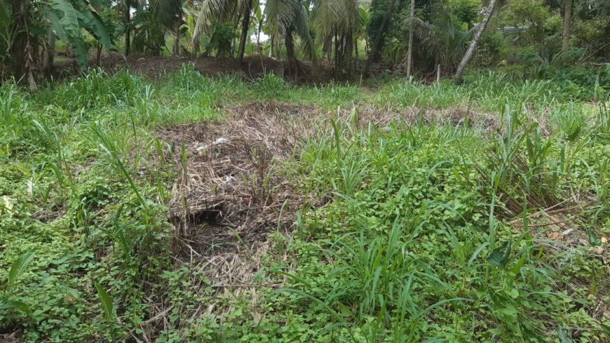Land for Sale in Malwaththa, Nittambuwa