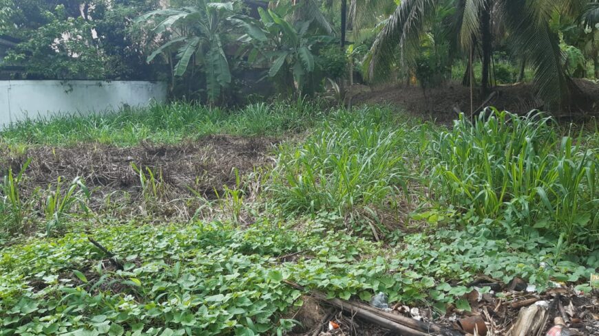 Land for Sale in Malwaththa, Nittambuwa
