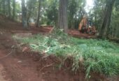 Land For Sale Pathe Gama South Kottegoda Dikwella