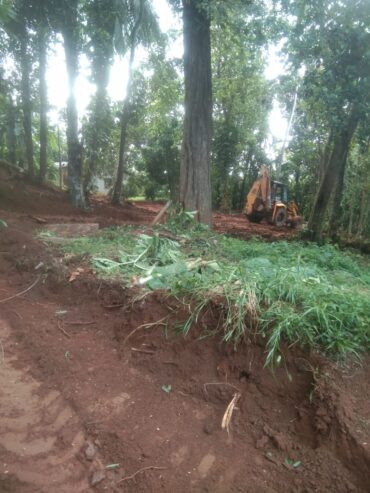 Land For Sale Pathe Gama South Kottegoda Dikwella