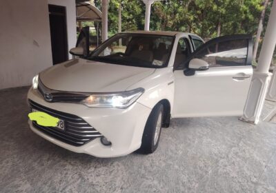 Toyota Axio G Grade 2016