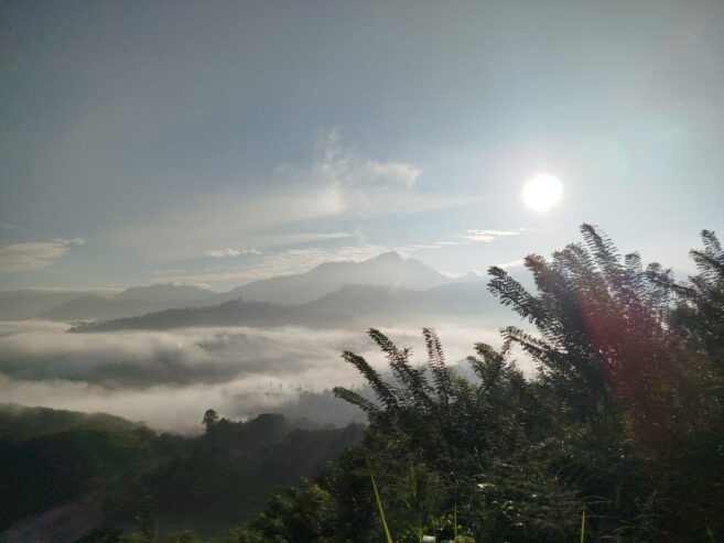 Land for Sale in Badulla