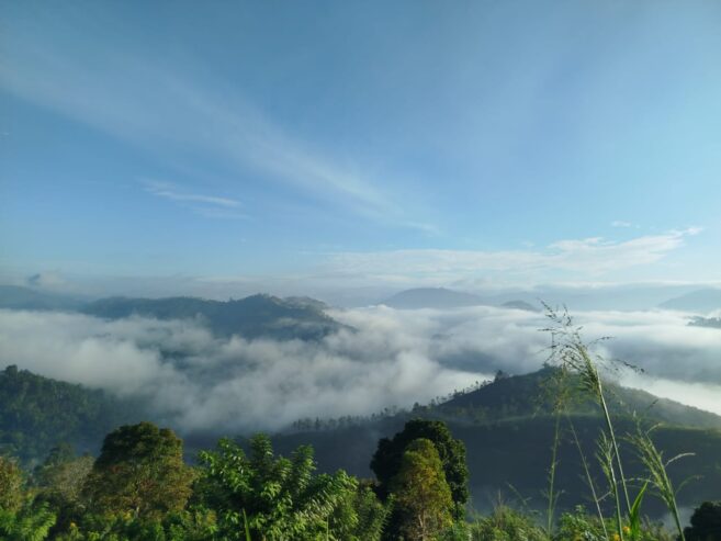 Land for Sale in Badulla