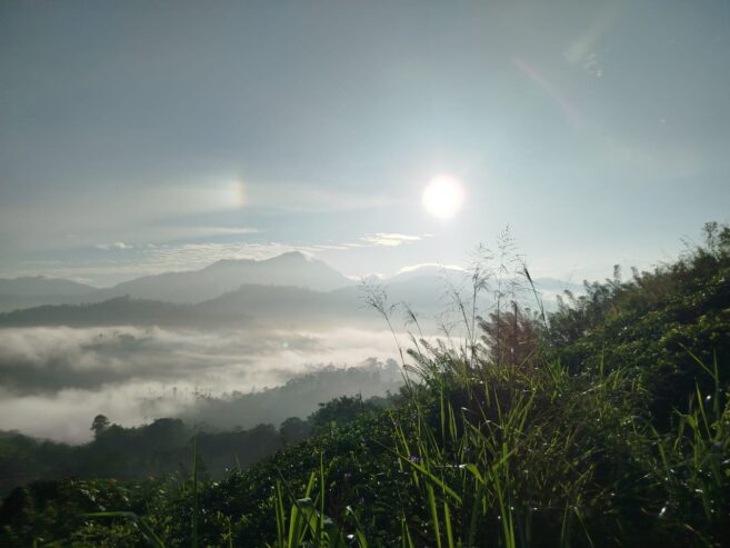 Land for Sale in Badulla
