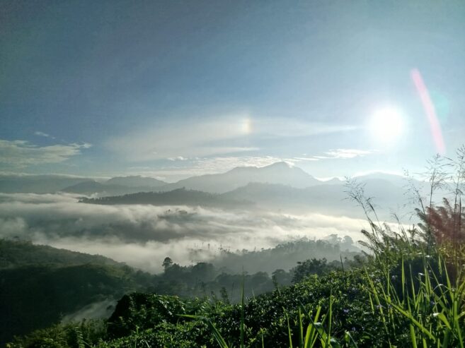 Land for Sale in Badulla