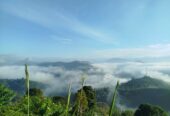 Land for Sale in Badulla