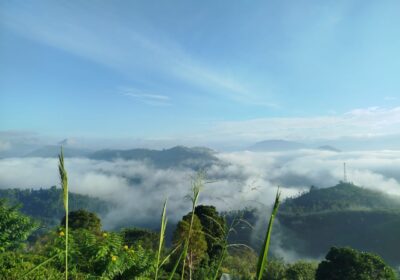 Land for Sale in Badulla