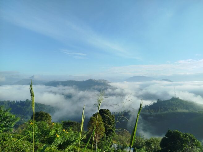 Land for Sale in Badulla