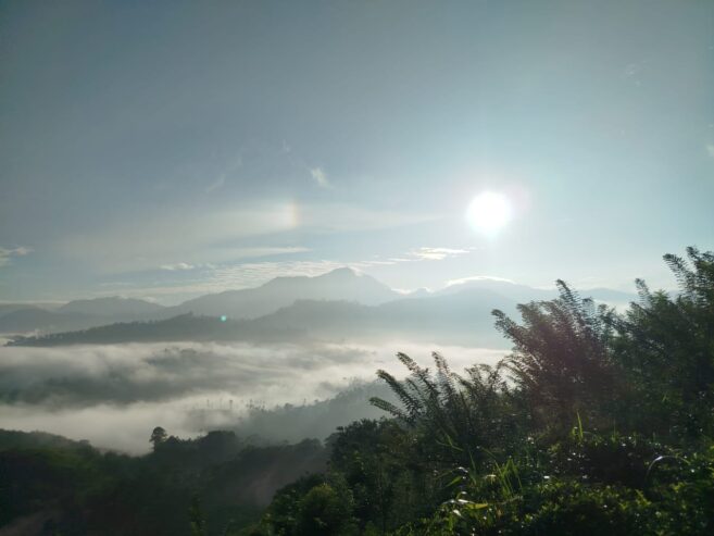 Land for Sale in Badulla