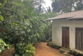 House for Sale in Padukka
