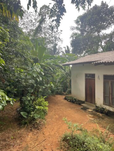 House for Sale in Padukka