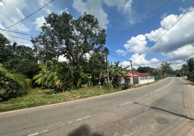 31 Perch Land for Sale in Ellakkala (Negotiable)