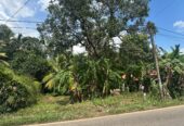 31 Perch Land for Sale in Ellakkala (Negotiable)