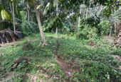 31 Perch Land for Sale in Ellakkala (Negotiable)