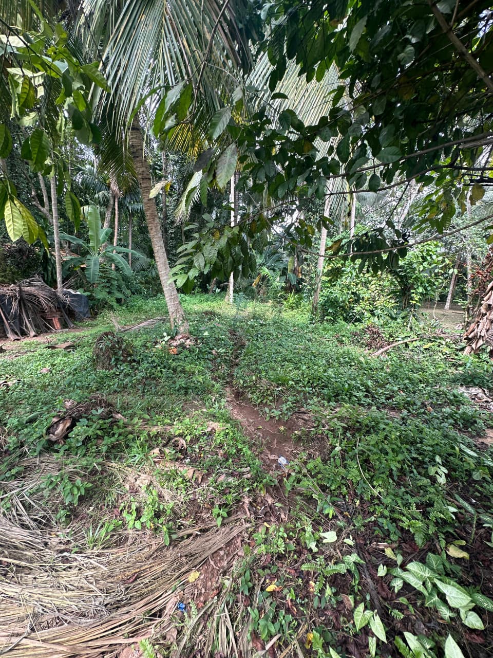 31 Perch Land for Sale in Ellakkala (Negotiable)