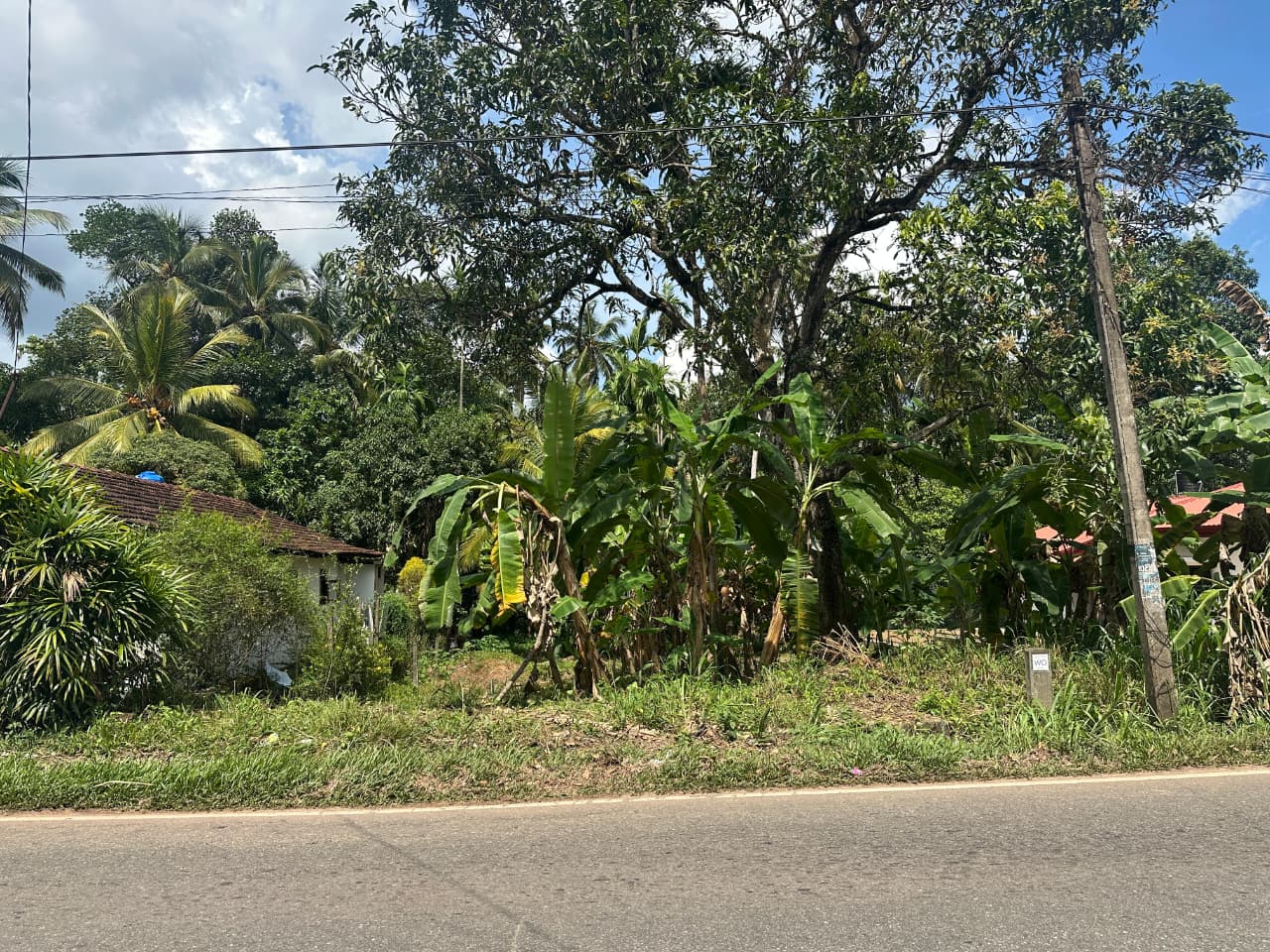 31 Perch Land for Sale in Ellakkala (Negotiable)