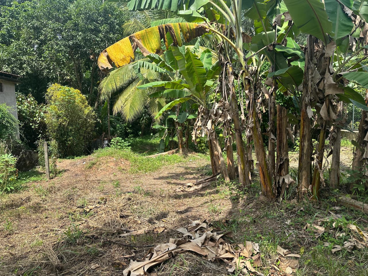 31 Perch Land for Sale in Ellakkala (Negotiable)