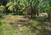 31 Perch Land for Sale in Ellakkala (Negotiable)