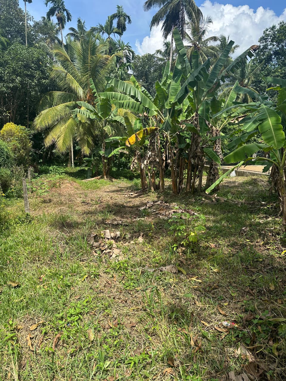 31 Perch Land for Sale in Ellakkala (Negotiable)