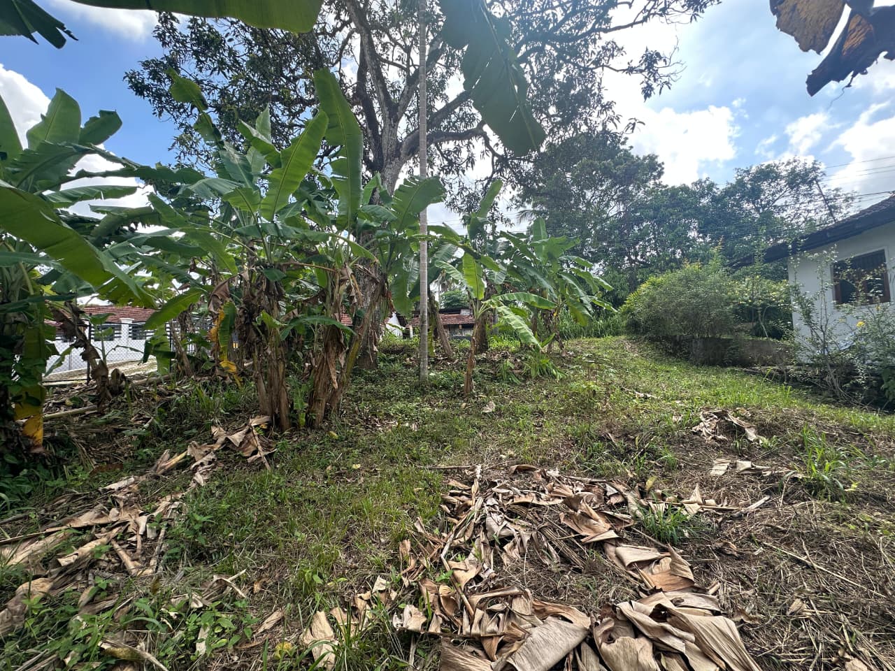 31 Perch Land for Sale in Ellakkala (Negotiable)