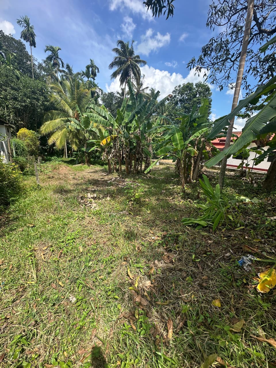 31 Perch Land for Sale in Ellakkala (Negotiable)