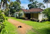 41 and 39 Perches Two Land Plots with Houses for Sale in Panadura